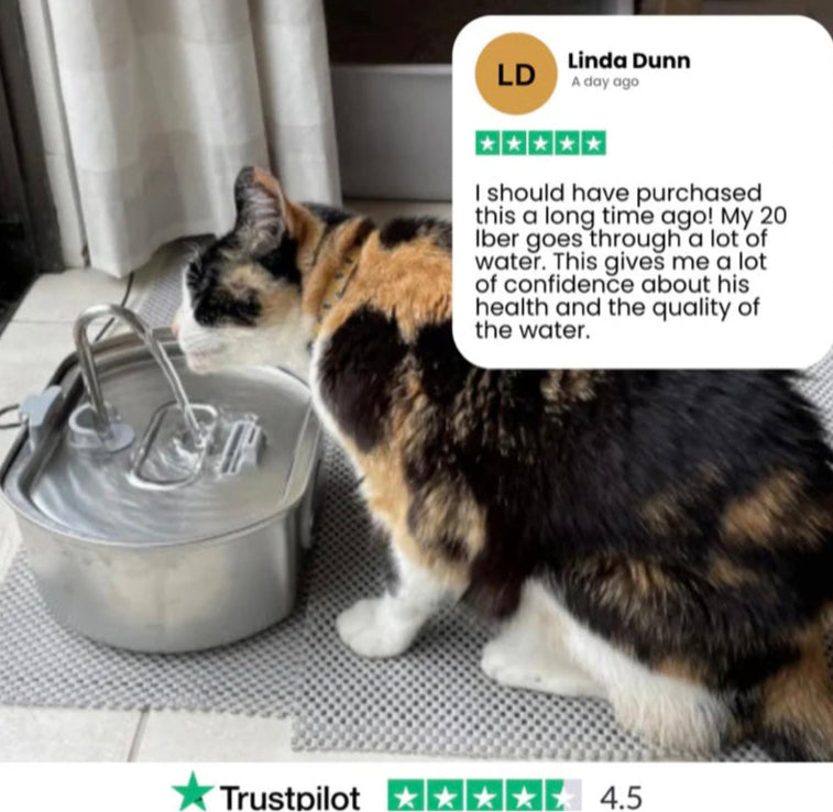 Purrify™ Advanced Automatic Stainless Steel Cat Water Fountain, 108 oz (3.2 L)