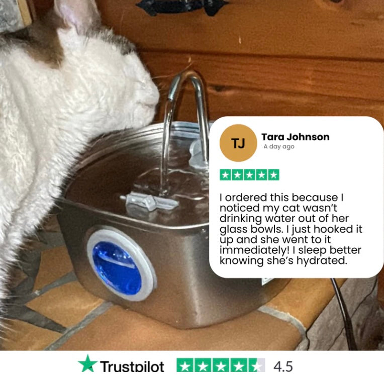 Purrify™ Advanced Automatic Stainless Steel Cat Water Fountain, 108 oz (3.2 L)